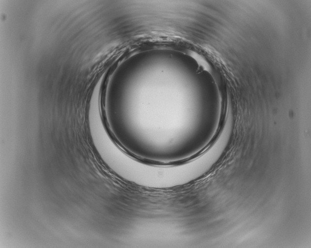 X0000089411110200706151245