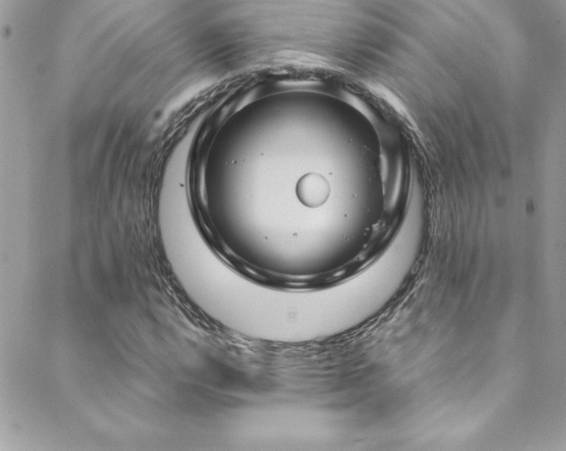 X0000089411112200706151245