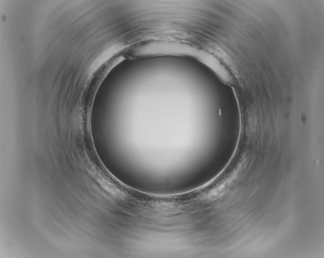 X0000089411114200706151245