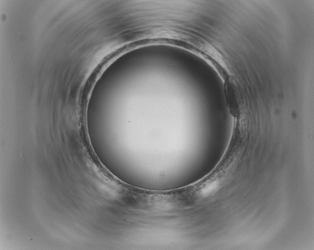 X0000089411116200706151245