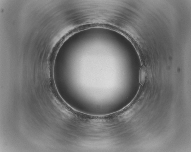 X0000089411118200706151245