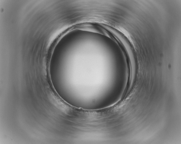 X0000089411120200706151245