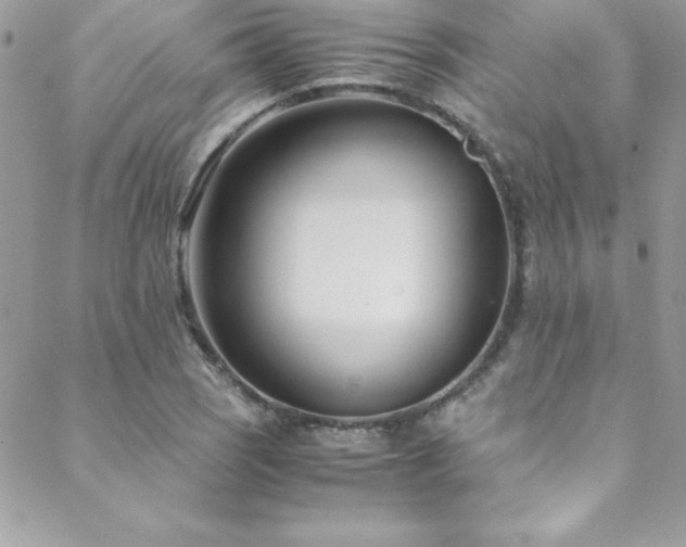 X0000089411121200706151245