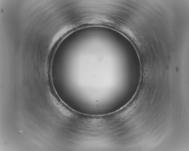 X0000089411122200706151245