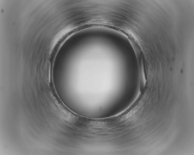 X0000089411123200706151245