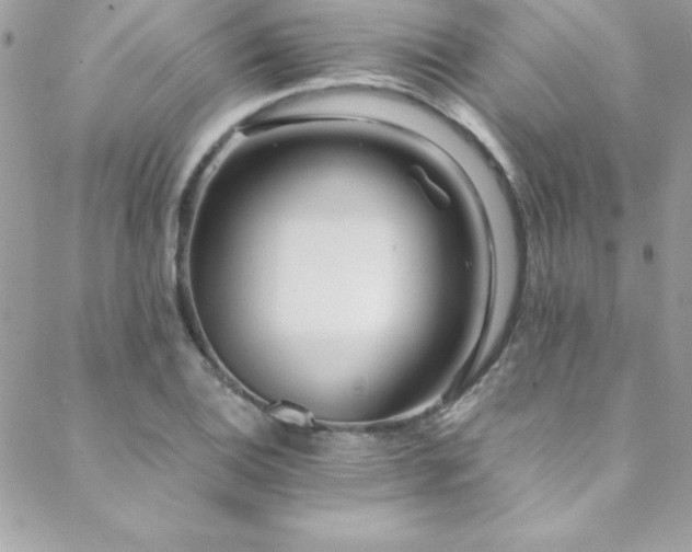 X0000089411124200706151245