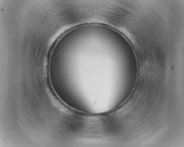 X0000089411126200706151245