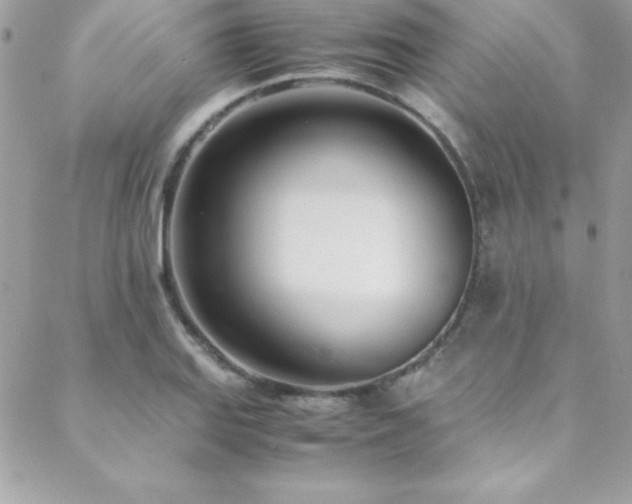 X0000089411127200706151245