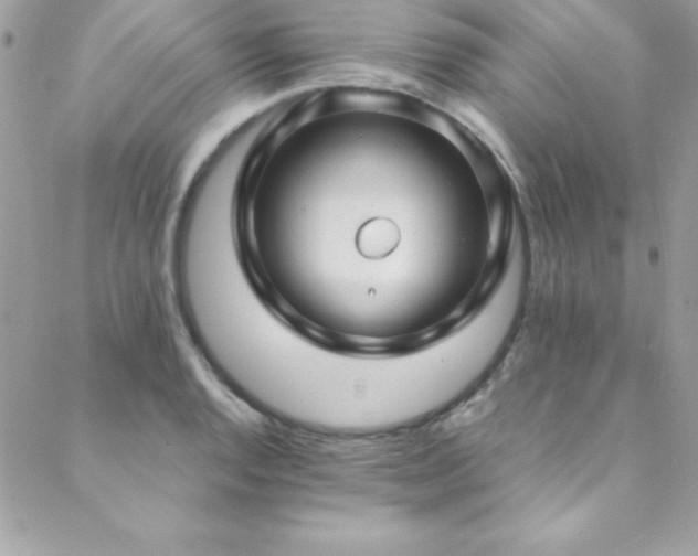 X0000089411128200706151245