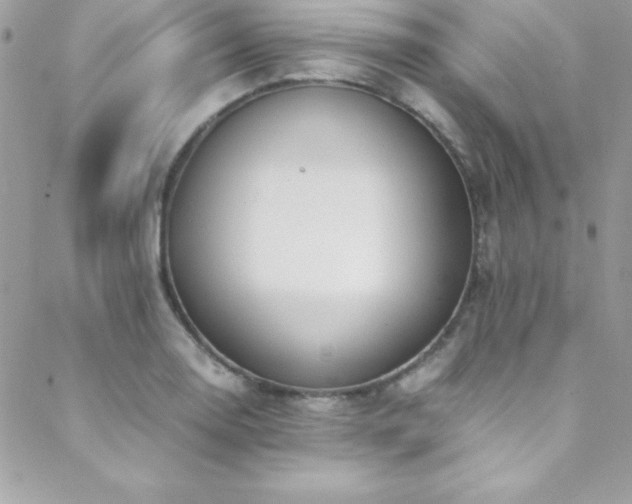 X0000089411130200706151245