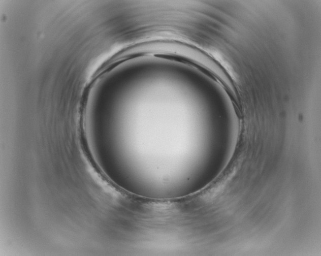 X0000089411134200706151245