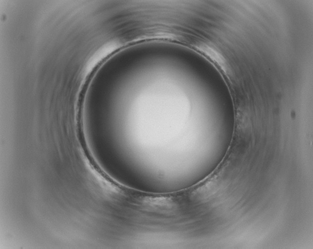 X0000089411135200706151245