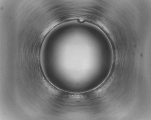 X0000089411137200706151245