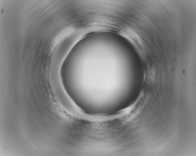 X0000089411138200706151245