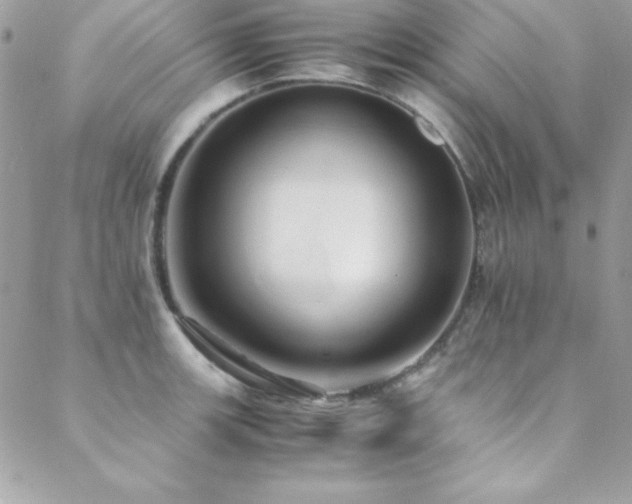 X0000089411139200706151245