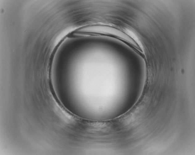 X0000089411141200706151245