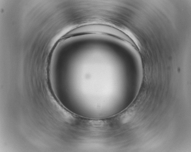 X0000089411142200706151245