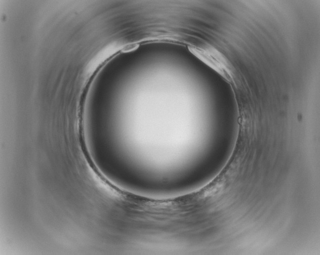 X0000089411143200706151245