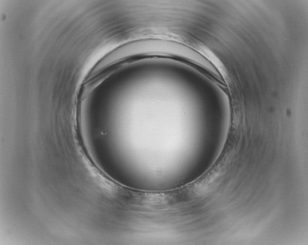 X0000089411144200706151245