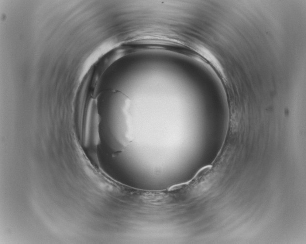 X0000089411146200706151245