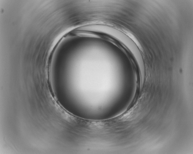 X0000089411148200706151245