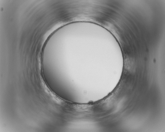 X0000089411150200706151245