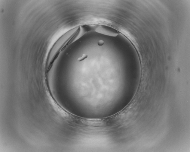 X0000089411152200706151245