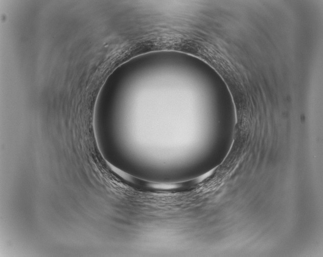 X0000089411153200706151244