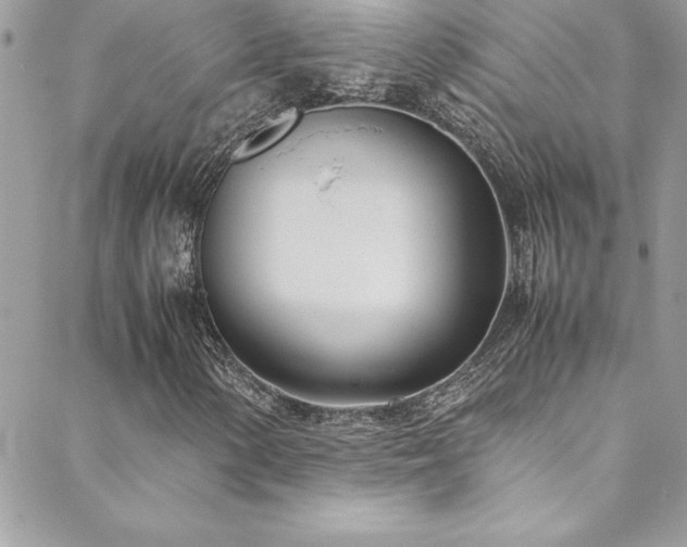 X0000089411154200706151244