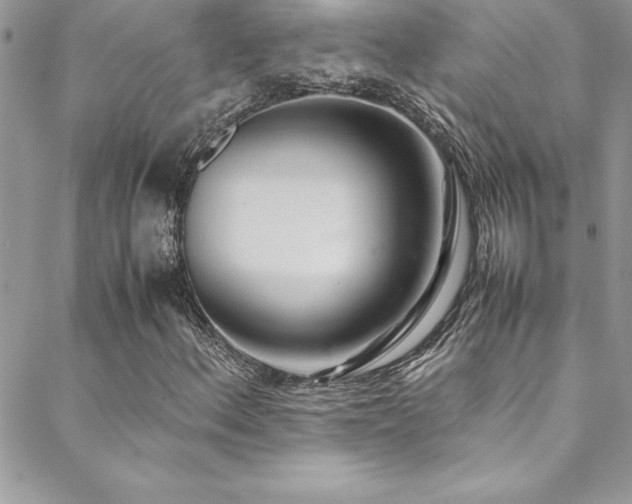 X0000089411156200706151244