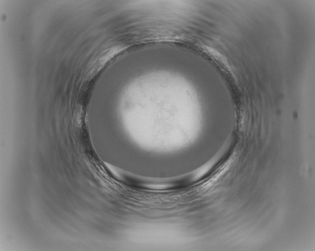 X0000089411161200706151244