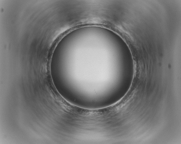 X0000089411166200706151244
