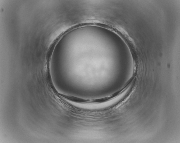 X0000089411167200706151244