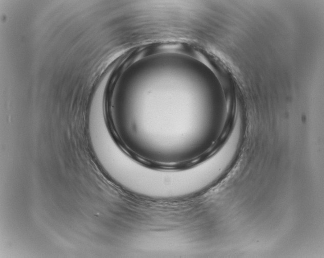 X0000089411169200706151244