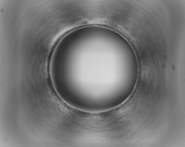 X0000089411174200706151244