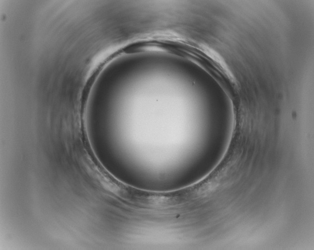 X0000089411176200706151244