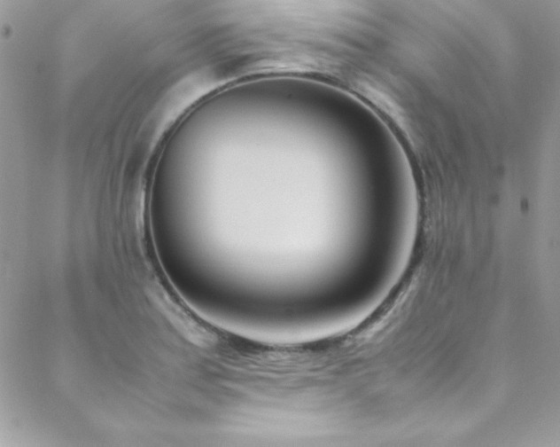 X0000089411179200706151244