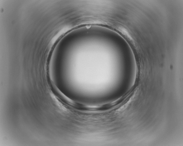 X0000089411181200706151244