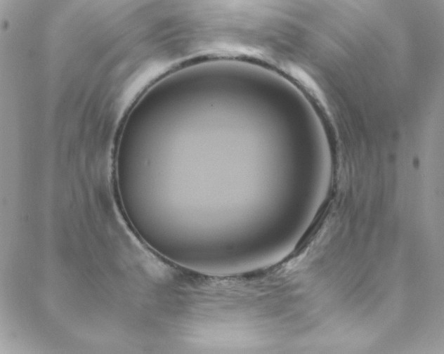 X0000089411183200706151244
