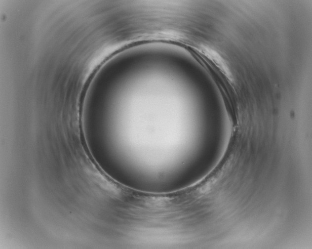 X0000089411184200706151244