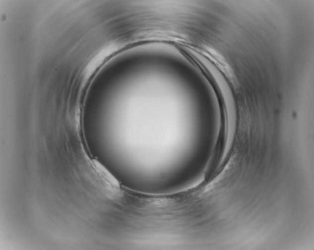 X0000089411188200706151244