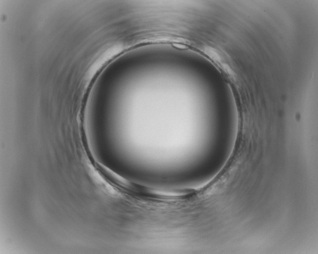 X0000089411189200706151244