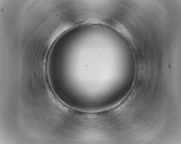X0000089411190200706151244