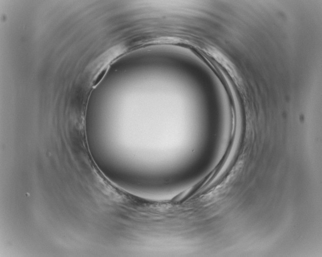 X0000089411193200706151244