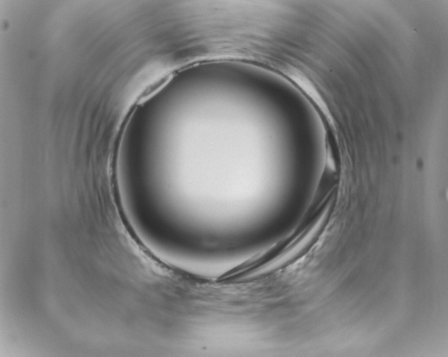 X0000089411197200706151244