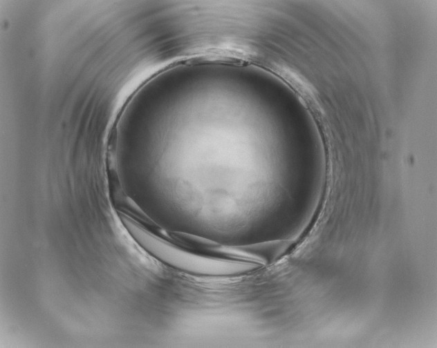 X0000089411200200706151244