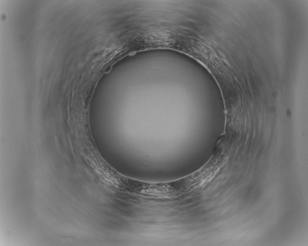 X0000089411201200706151243