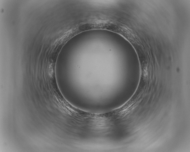X0000089411204200706151243