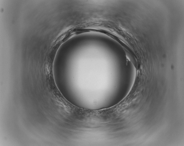 X0000089411206200706151243