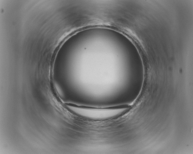 X0000089411220200706151243